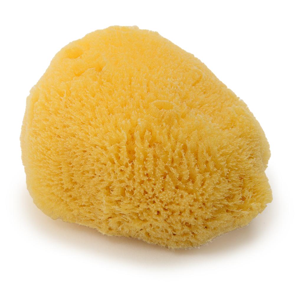 Natural body sponge