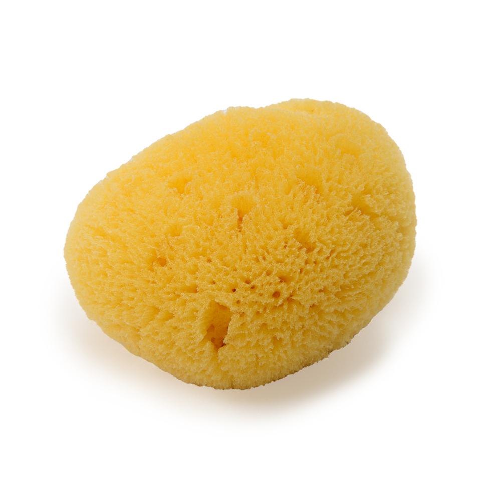 Mini natural face sponge